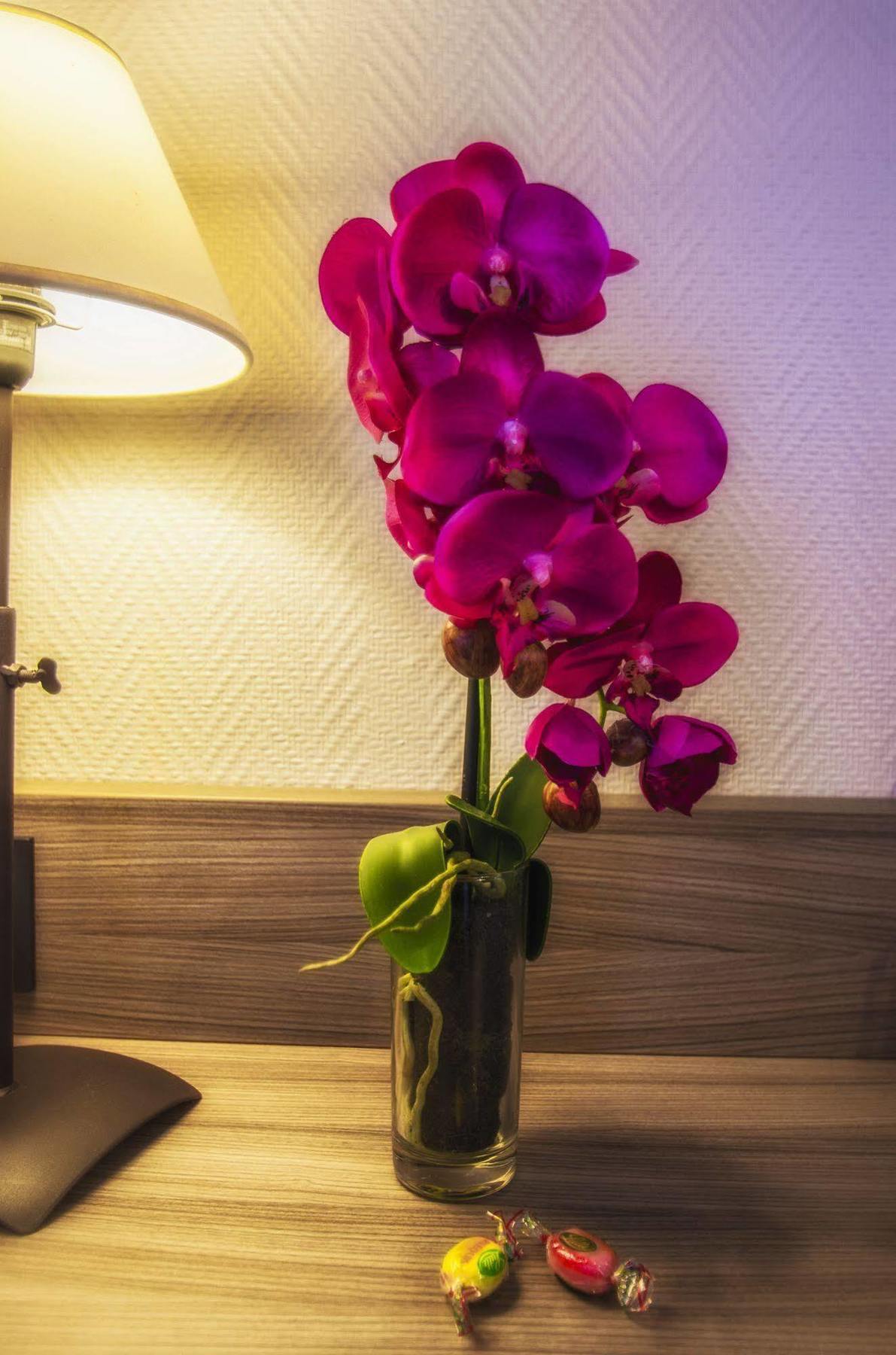 Hotel Prado Avec Parking - Proche Zenith Tuluza Zewnętrze zdjęcie